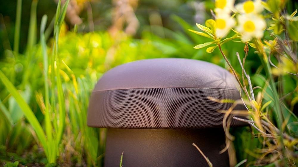 Close-up of a Sonance omnidirectional speaker blending into vibrant garden greenery.