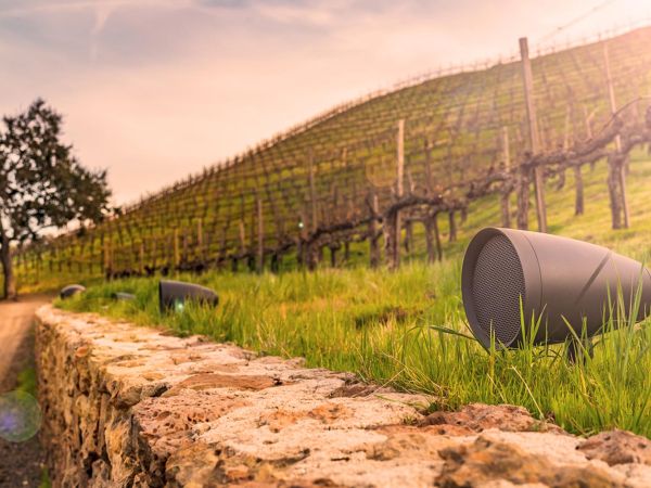 Landscape view of a vineyard during sunset with discreetly placed Sonance outdoor speakers along a stone path, blending seamlessly into the environment to deliver high-quality sound throughout the scenic surroundings.