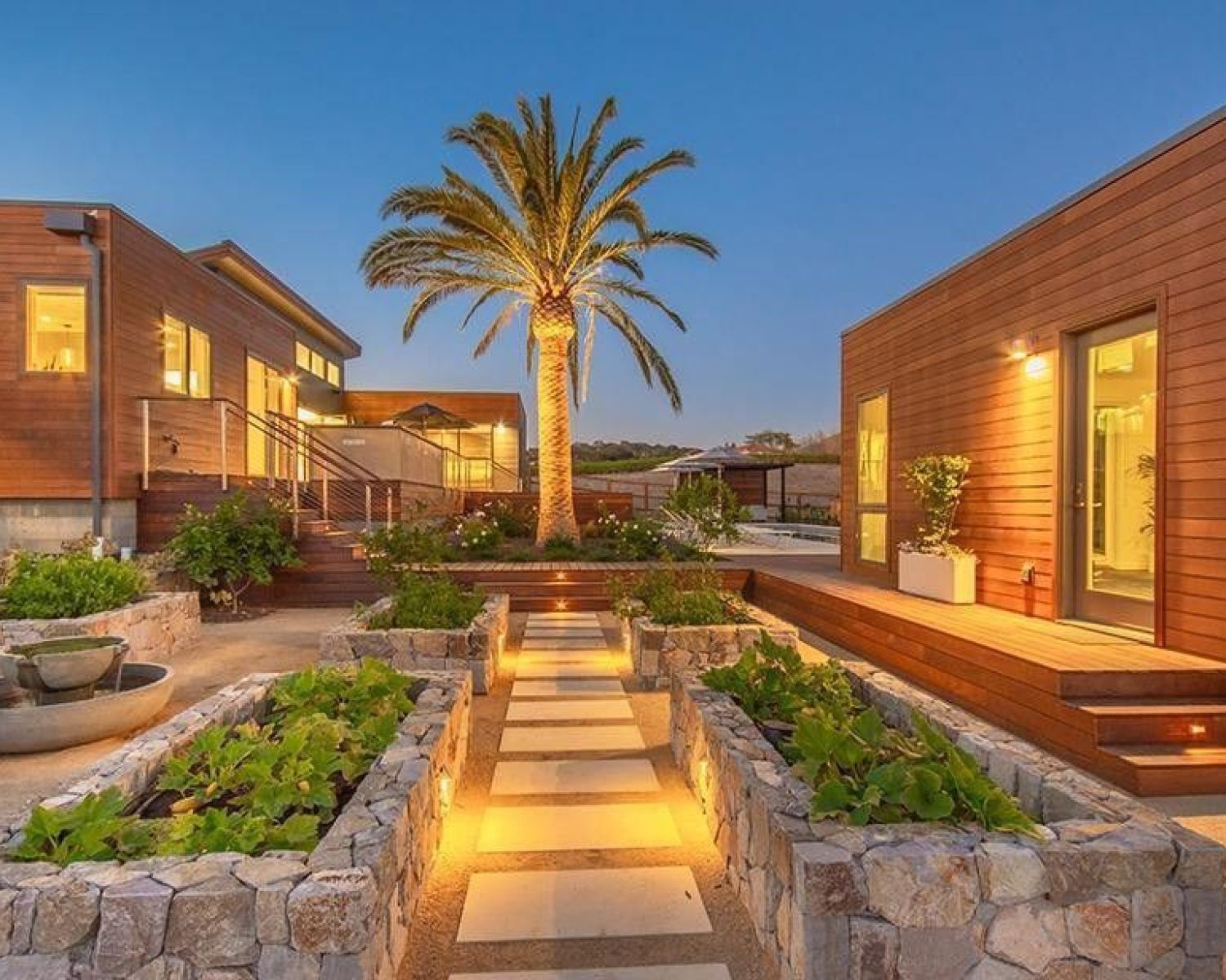 landscape lighting on modern home and palm tree